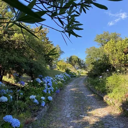 Cottage - Sleeps 12 - Pool - Parking *