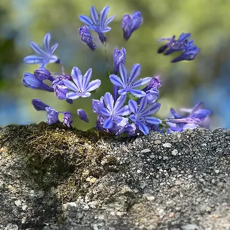 Hébergement de vacances Cottage - Sleeps 12 - Pool - Parking