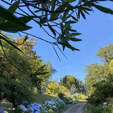 Hébergement de vacances Sleeps 12 With Pool And Parking