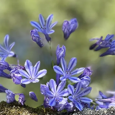 Casa de Férias Sleeps 12 With Pool And Parking *