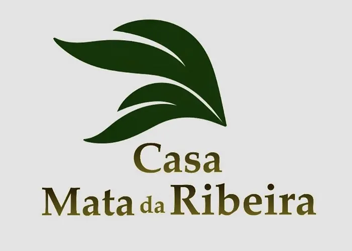 Sleeps 12 With Pool And Parking *