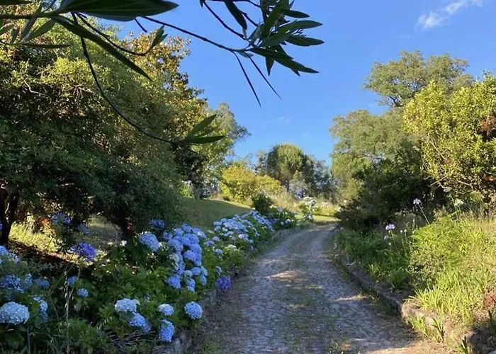 Sleeps 12 With Pool And Parking *