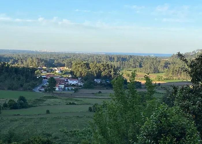 Sleeps 12 With Pool And Parking Casa de Férias Barcelos