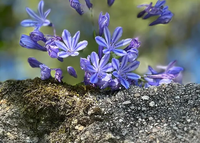 Holiday home Sleeps 12 With Pool And Parking