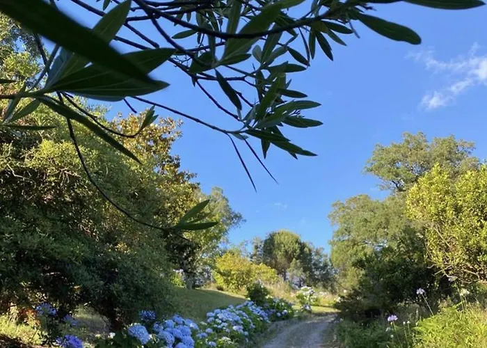 Hébergement de vacances Sleeps 12 With Pool And Parking