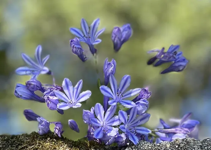 Hébergement de vacances Sleeps 12 With Pool And Parking *